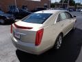 Silver Coast Metallic - XTS Luxury FWD Photo No. 4