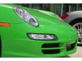 2008 Green Paint to Sample Porsche 911 Carrera S Cabriolet  photo #66