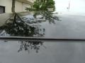 Obsidian Black - LS 460 AWD Photo No. 48