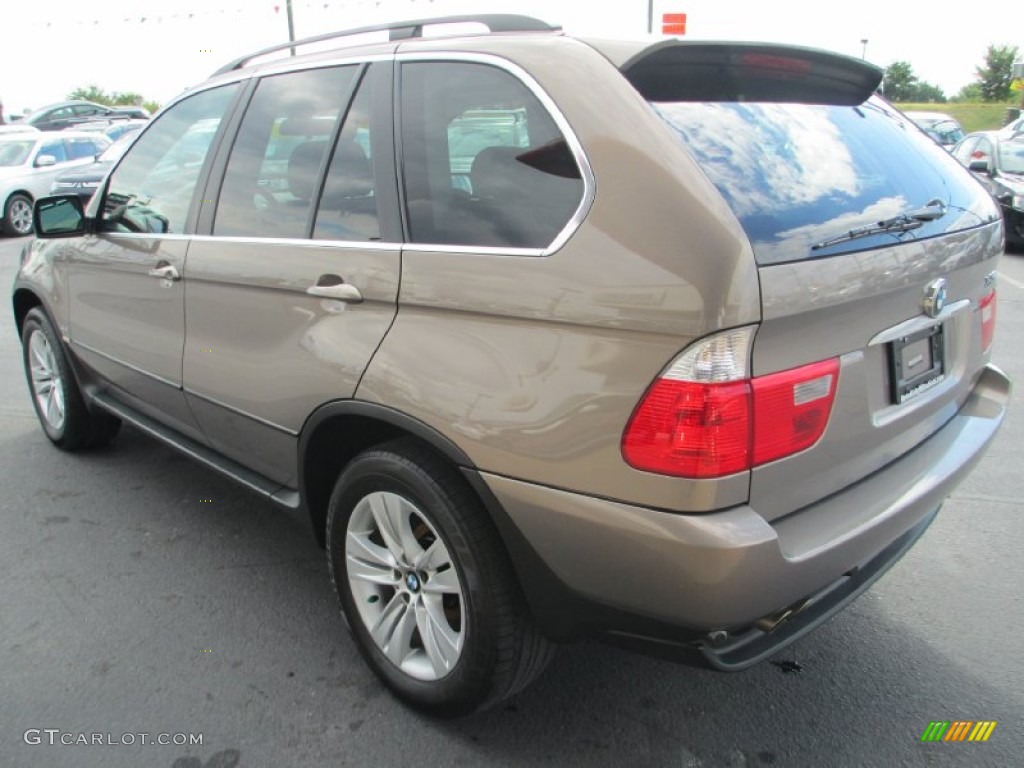 2005 X5 4.4i - Kalahari Beige Metallic / Truffle Brown photo #6