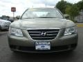 Willow Gray - Sonata GLS Photo No. 2