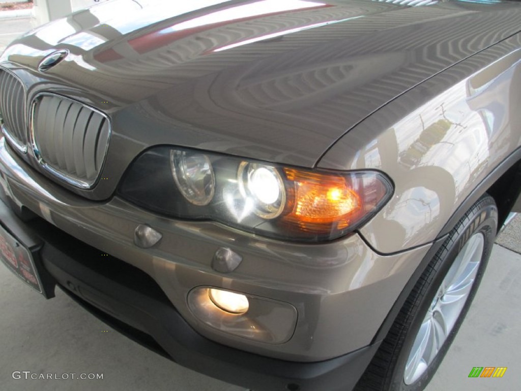 2005 X5 4.4i - Kalahari Beige Metallic / Truffle Brown photo #43