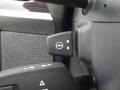 Saddle Brown Controls Photo for 2011 BMW X6 #85789210