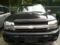 Black - TrailBlazer LS 4x4 Photo No. 2