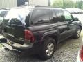 Black - TrailBlazer LS 4x4 Photo No. 6