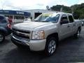 2009 Silver Birch Metallic Chevrolet Silverado 1500 LT Crew Cab 4x4  photo #4