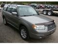 2006 Steel Gray Metallic Subaru Forester 2.5 X Premium  photo #9