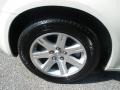 Stone White - 300 Touring Photo No. 7