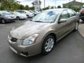 2008 Pebble Beach Metallic Nissan Maxima 3.5 SL  photo #3