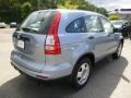 2010 Glacier Blue Metallic Honda CR-V LX AWD  photo #5