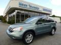 2010 Opal Sage Metallic Honda CR-V EX AWD  photo #1