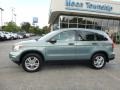 2010 Opal Sage Metallic Honda CR-V EX AWD  photo #2