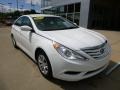 Shimmering White - Sonata GLS Photo No. 8