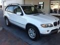 Alpine White - X5 3.0i Photo No. 2