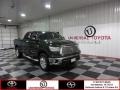 2011 Spruce Green Mica Toyota Tundra Texas Edition Double Cab #85804147