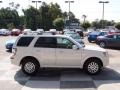 White Suede - Mariner V6 Premier 4WD Photo No. 3