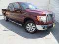 2010 Royal Red Metallic Ford F150 XLT SuperCrew  photo #42