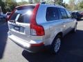 Silver Metallic - XC90 3.2 AWD Photo No. 3