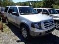 Ingot Silver Metallic 2011 Ford Expedition XLT 4x4