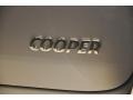 Crystal Silver Metallic - Cooper Countryman Photo No. 16