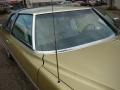Florentine Gold Firemist - DeVille Coupe Photo No. 15