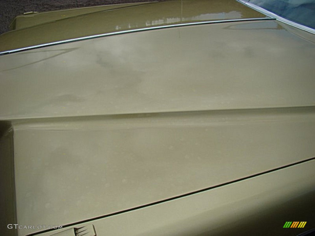 1976 DeVille Coupe - Florentine Gold Firemist / Light Ivory-Gold photo #16