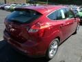 Ruby Red - Focus SE Hatchback Photo No. 2