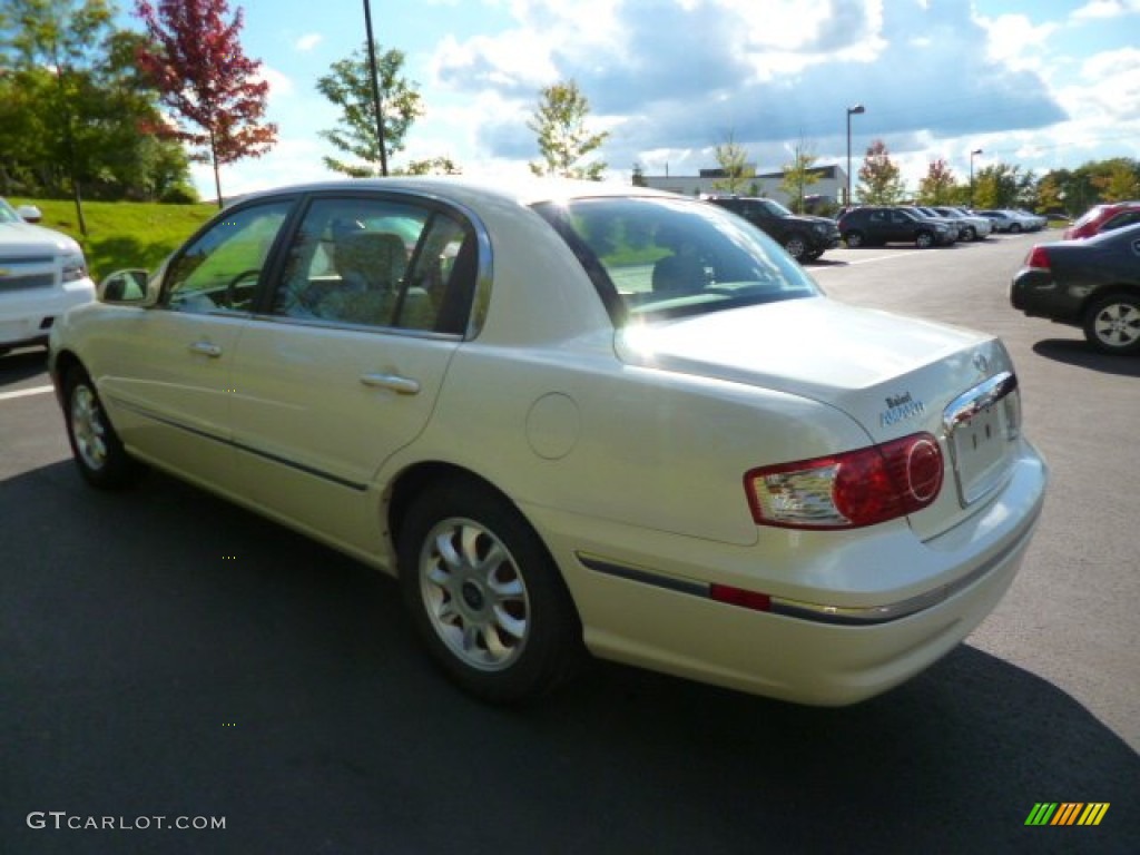 2005 Amanti  - Pearl White / Gray photo #7