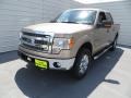 2013 Pale Adobe Metallic Ford F150 XLT SuperCrew 4x4  photo #7