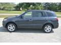 2010 Pacific Blue Pearl Hyundai Santa Fe Limited 4WD  photo #3