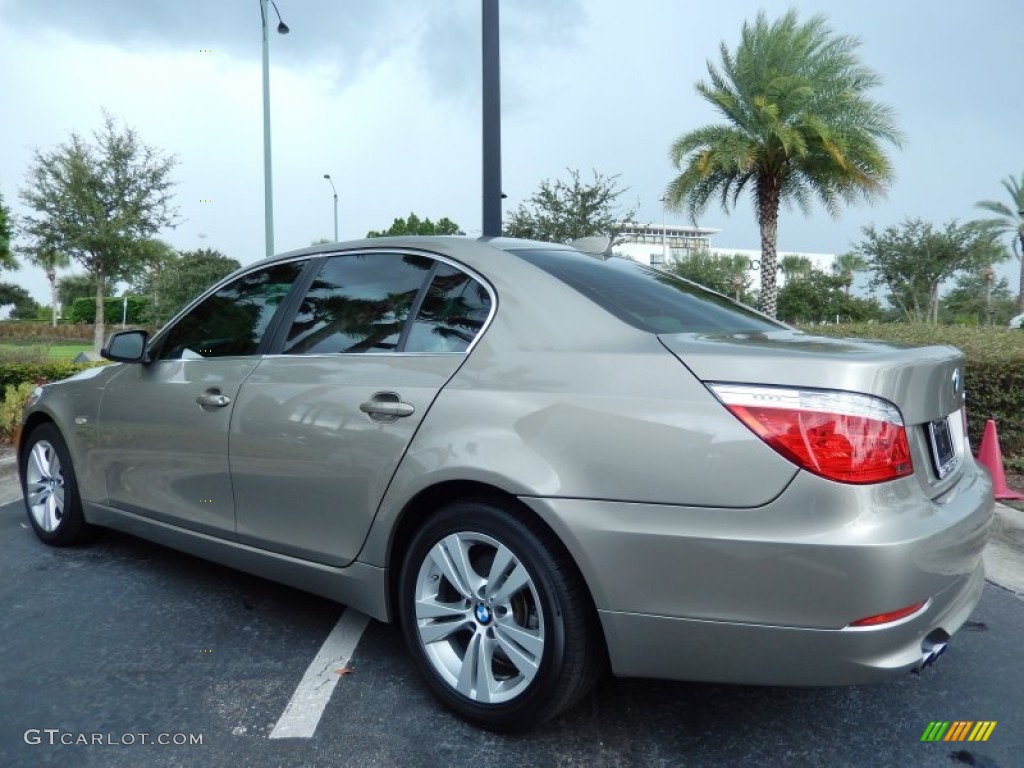 2010 5 Series 528i xDrive Sedan - Platinum Bronze Metallic / Cream Beige photo #5