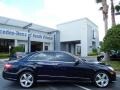 2010 Capri Blue Metallic Mercedes-Benz E 350 Sedan  photo #8