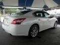 Winter Frost White - Maxima 3.5 SV Photo No. 5