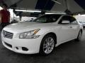 Winter Frost White - Maxima 3.5 SV Photo No. 3