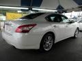 Winter Frost White - Maxima 3.5 SV Photo No. 4