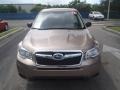 Burnished Bronze Metallic - Forester 2.5i Photo No. 2