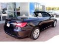 Blackberry Pearl Coat - 200 Limited Convertible Photo No. 11
