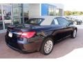 Blackberry Pearl Coat - 200 Limited Convertible Photo No. 12