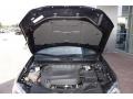 Blackberry Pearl Coat - 200 Limited Convertible Photo No. 20