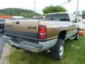 2001 Medium Bronze Pearl Coat Dodge Ram 2500 SLT Regular Cab 4x4  photo #5