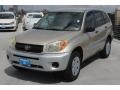 Savannah Metallic - RAV4  Photo No. 3