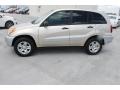 Savannah Metallic - RAV4  Photo No. 5
