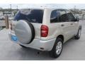 Savannah Metallic - RAV4  Photo No. 9