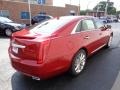 Crystal Red Tincoat - XTS Luxury FWD Photo No. 2