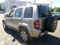 Light Khaki Metallic - Liberty Limited 4x4 Photo No. 5