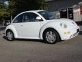 White - New Beetle GLS Coupe Photo No. 10