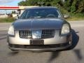 Coral Sand Metallic - Maxima 3.5 SL Photo No. 10