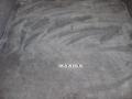 Coral Sand Metallic - Maxima 3.5 SL Photo No. 13