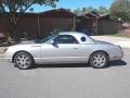 Platinum Silver Metallic - Thunderbird Premium Roadster Photo No. 2