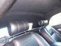 Platinum Silver Metallic - Thunderbird Premium Roadster Photo No. 13
